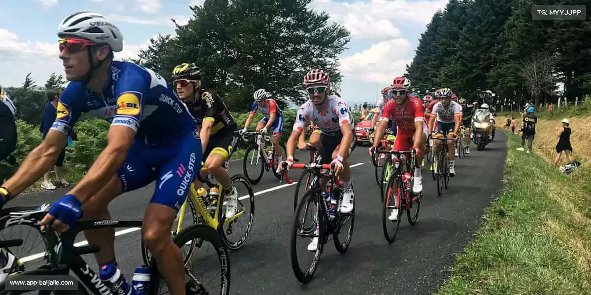 百家乐游戏网站——🥊拳力以赴！释放压力，格斗课程点燃你的斗志🔥